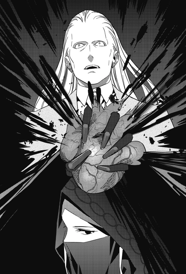 Fate Strange Fake 插画 2