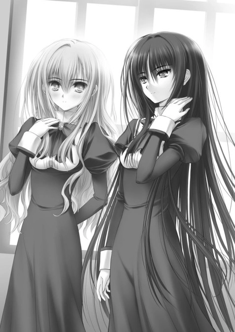 少女爱上姐姐 插画 1
