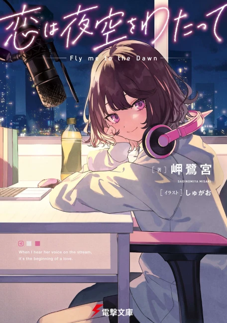 恋缘夜空